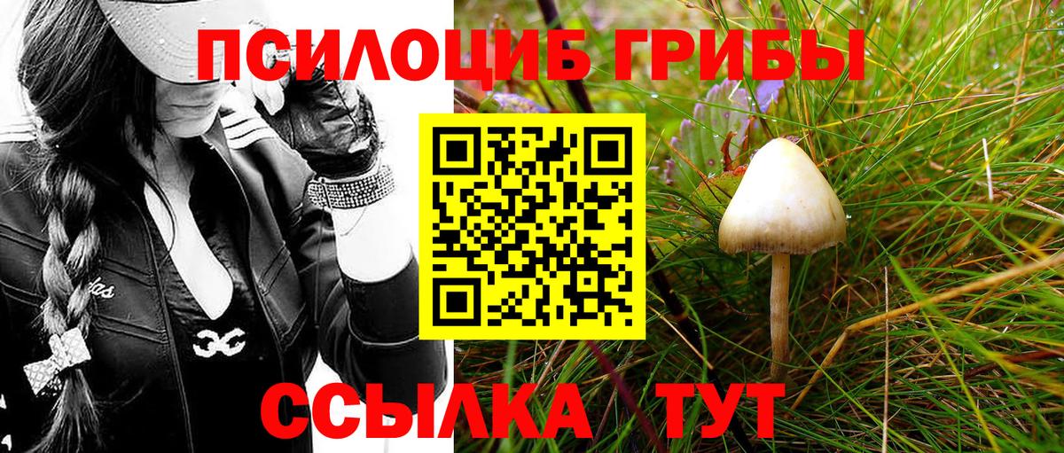 Галлюциногенные грибы MAGIC MUSHROOMS Малоярославец