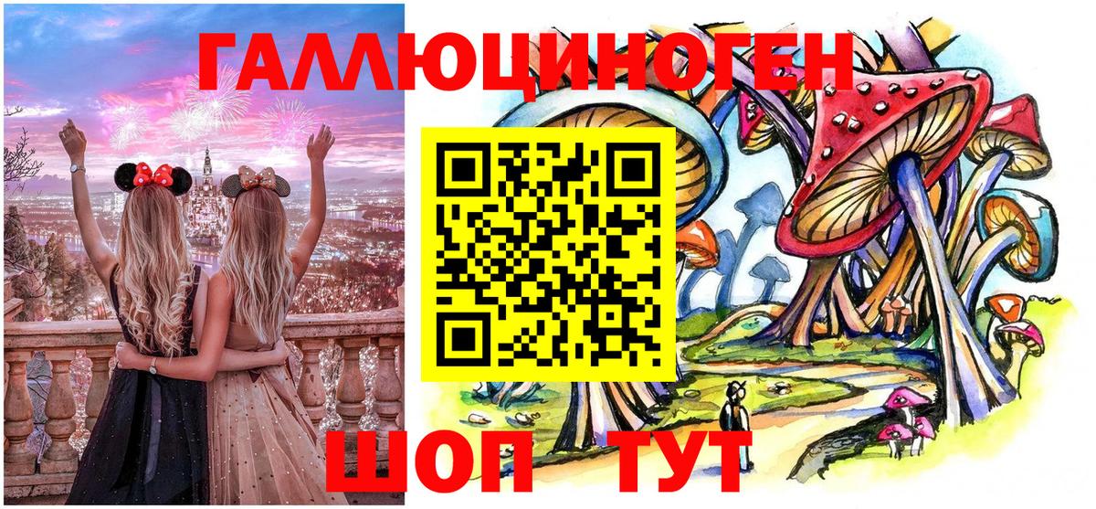 Малоярославец  купить наркотик  Вход с VPN  Псилоцибиновые грибы Psilocybe 